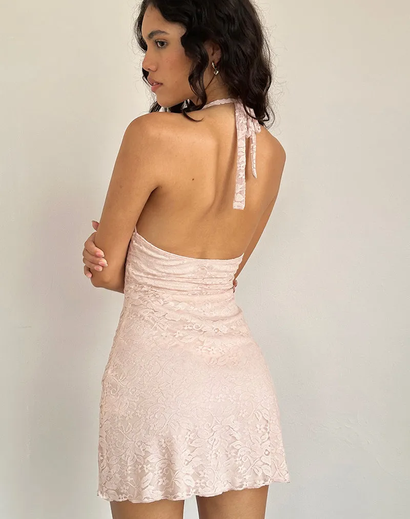 Codami Halterneck Mini Dress in Lace Lotus Pink