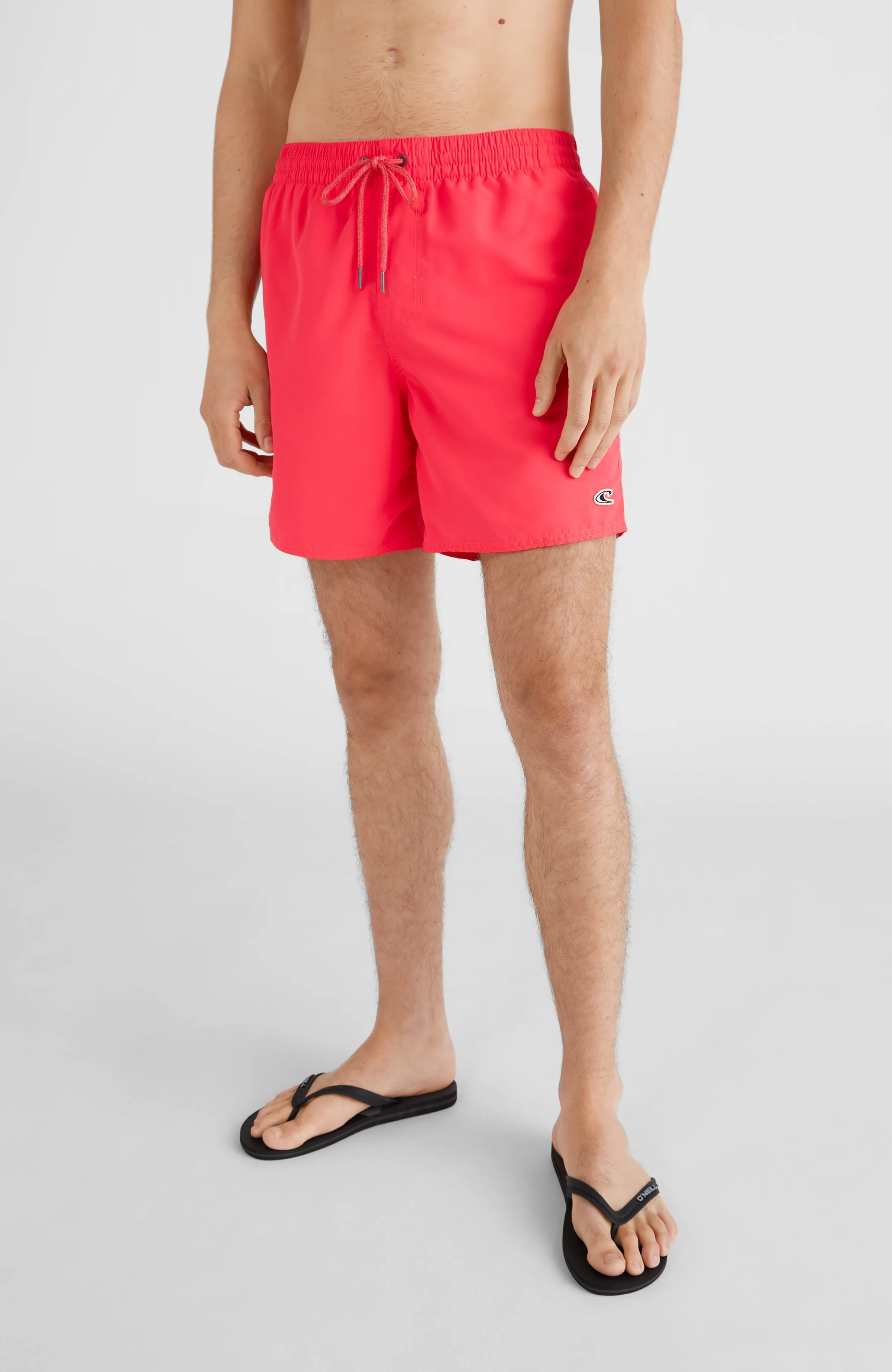 Vert 16'' Swim Shorts | Divan